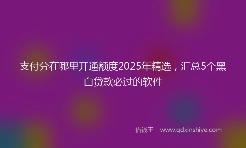支付分在哪里开通额度2025年精选，汇总5个黑白贷款必过的软件