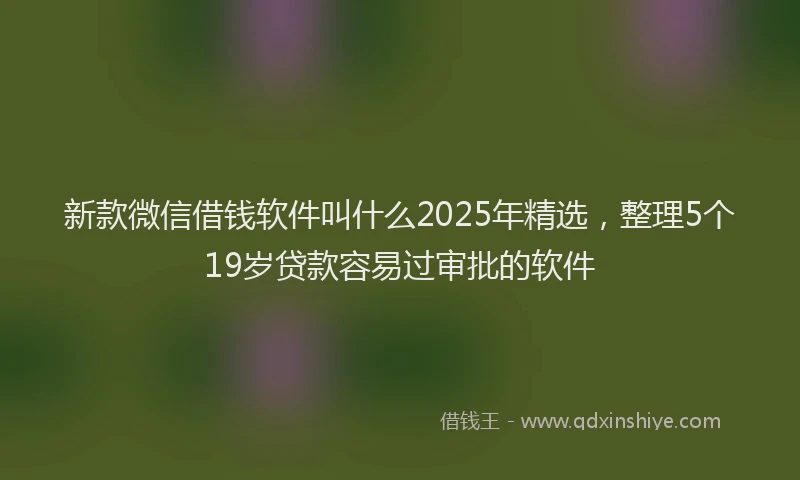 新款微信借钱软件叫什么2025年精选，整理5个19岁贷款容易过审批的软件