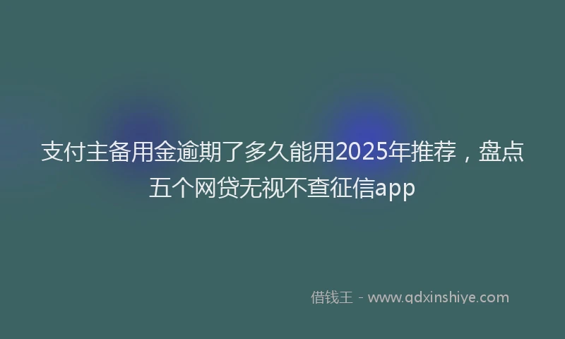 支付主备用金逾期了多久能用2025年推荐，盘点五个网贷无视不查征信app