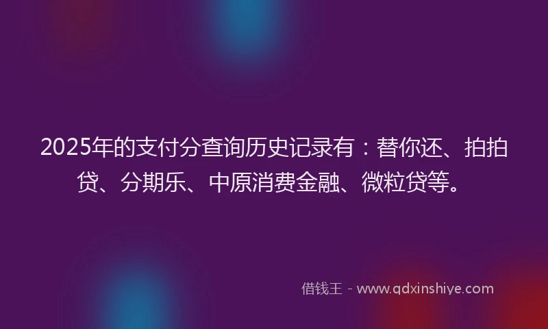2025年的支付分查询历史记录有：替你还、拍拍贷、分期乐、中原消费金融、微粒贷等。