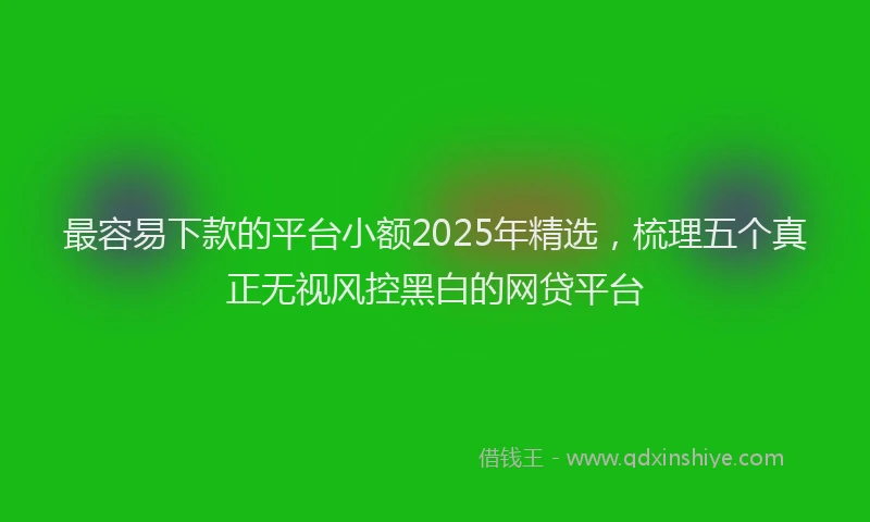 最容易下款的平台小额2025年精选，梳理五个真正无视风控黑白的网贷平台