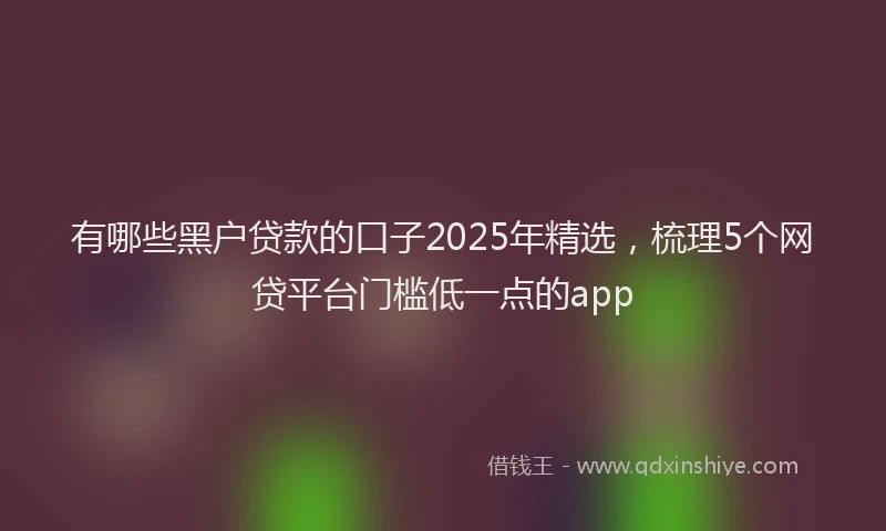 有哪些黑户贷款的口子2025年精选，梳理5个网贷平台门槛低一点的app