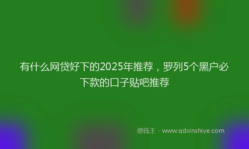 有什么网贷好下的2025年推荐，罗列5个黑户必下款的口子贴吧推荐