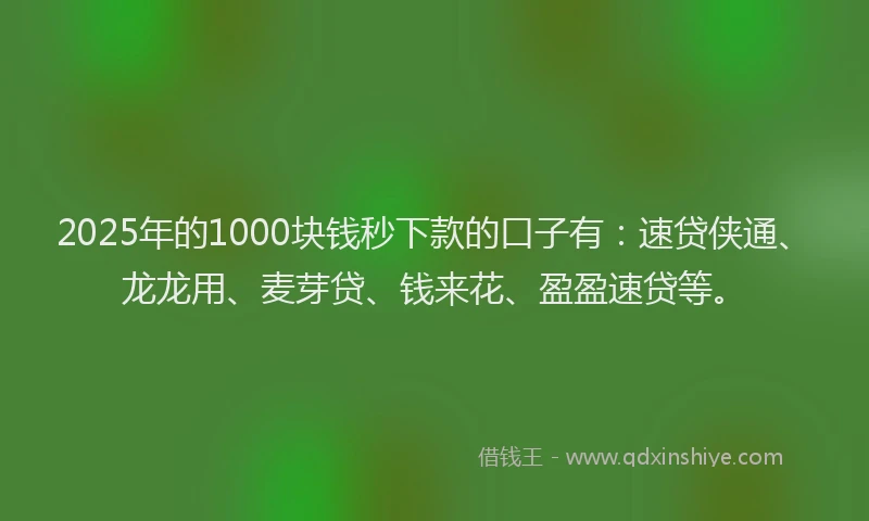 2025年的1000块钱秒下款的口子有：速贷侠通、龙龙用、麦芽贷、钱来花、盈盈速贷等。