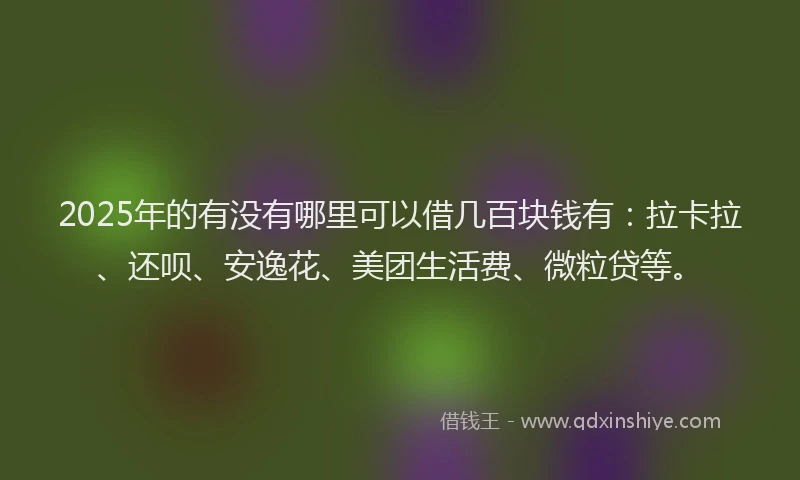 2025年的有没有哪里可以借几百块钱有：拉卡拉、还呗、安逸花、美团生活费、微粒贷等。