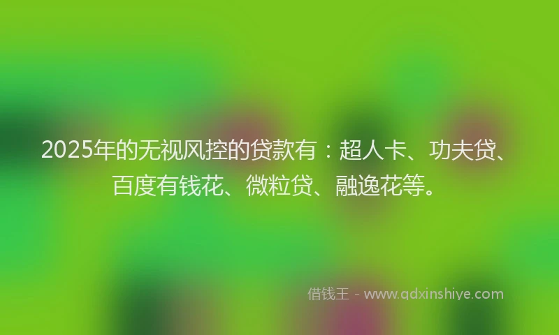 2025年的无视风控的贷款有：超人卡、功夫贷、百度有钱花、微粒贷、融逸花等。