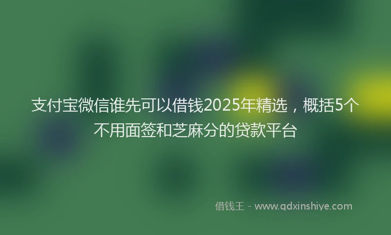 支付宝微信谁先可以借钱2025年精选，概括5个不用面签和芝麻分的贷款平台