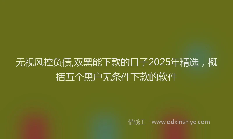 无视风控负债,双黑能下款的口子2025年精选，概括五个黑户无条件下款的软件