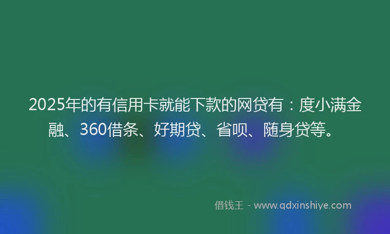 2025年的有信用卡就能下款的网贷有：度小满金融、360借条、好期贷、省呗、随身贷等。