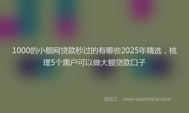 1000的小额网贷款秒过的有哪些2025年精选，梳理5个黑户可以做大额贷款口子