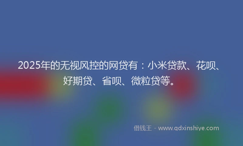 2025年的无视风控的网贷有：小米贷款、花呗、好期贷、省呗、微粒贷等。