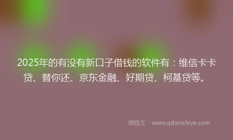 2025年的有没有新口子借钱的软件有：维信卡卡贷、替你还、京东金融、好期贷、柯基贷等。