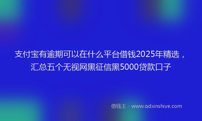 支付宝有逾期可以在什么平台借钱2025年精选，汇总五个无视网黑征信黑5000贷款口子