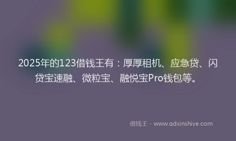 2025年的123借钱王有：厚厚租机、应急贷、闪贷宝速融、微粒宝、融悦宝Pro钱包等。
