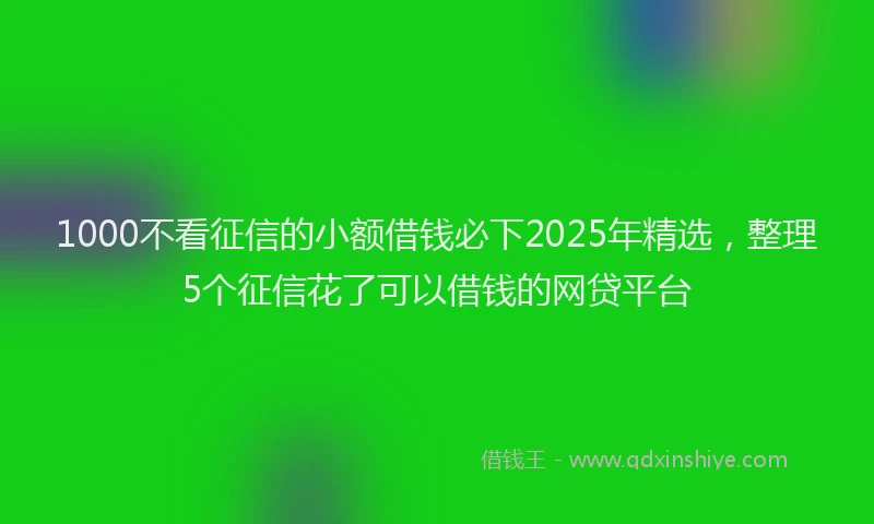 1000不看征信的小额借钱必下2025年精选，整理5个征信花了可以借钱的网贷平台