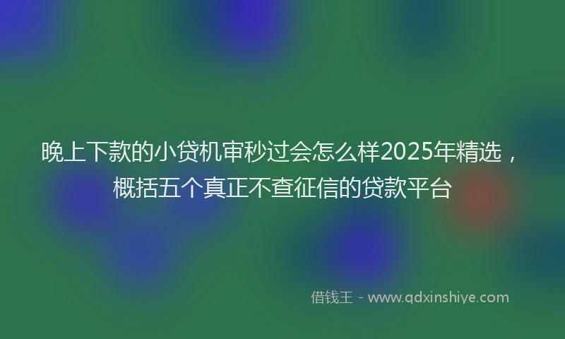 晚上下款的小贷机审秒过会怎么样2025年精选，概括五个真正不查征信的贷款平台