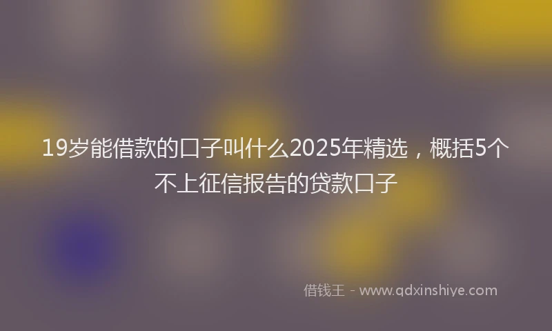 19岁能借款的口子叫什么2025年精选，概括5个不上征信报告的贷款口子