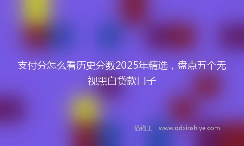 支付分怎么看历史分数2025年精选，盘点五个无视黑白贷款口子