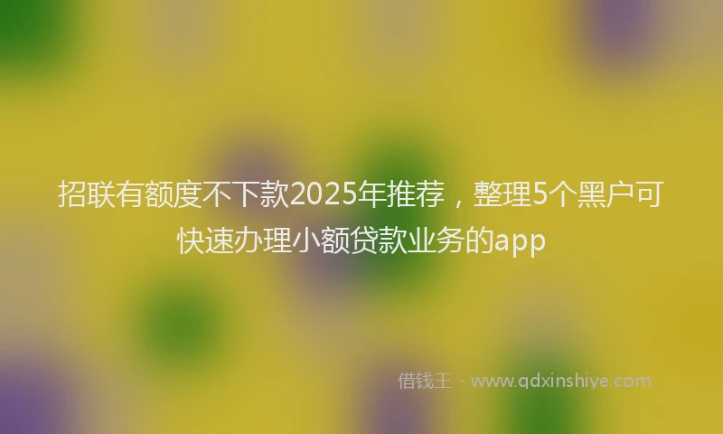 招联有额度不下款2025年推荐，整理5个黑户可快速办理小额贷款业务的app