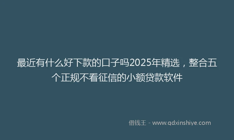 最近有什么好下款的口子吗2025年精选，整合五个正规不看征信的小额贷款软件
