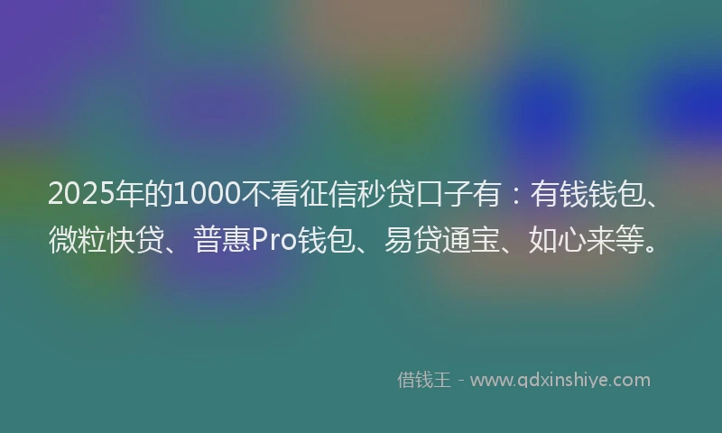 2025年的1000不看征信秒贷口子有：有钱钱包、微粒快贷、普惠Pro钱包、易贷通宝、如心来等。