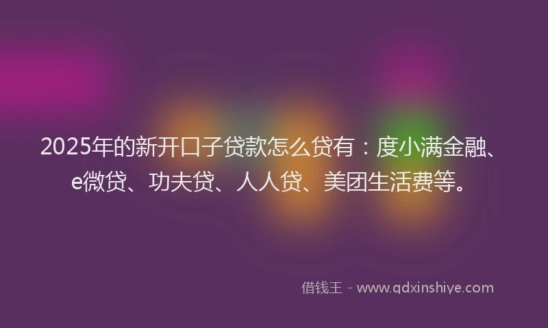2025年的新开口子贷款怎么贷有：度小满金融、e微贷、功夫贷、人人贷、美团生活费等。