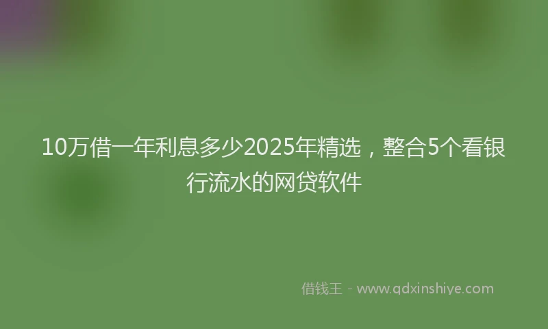 10万借一年利息多少2025年精选，整合5个看银行流水的网贷软件