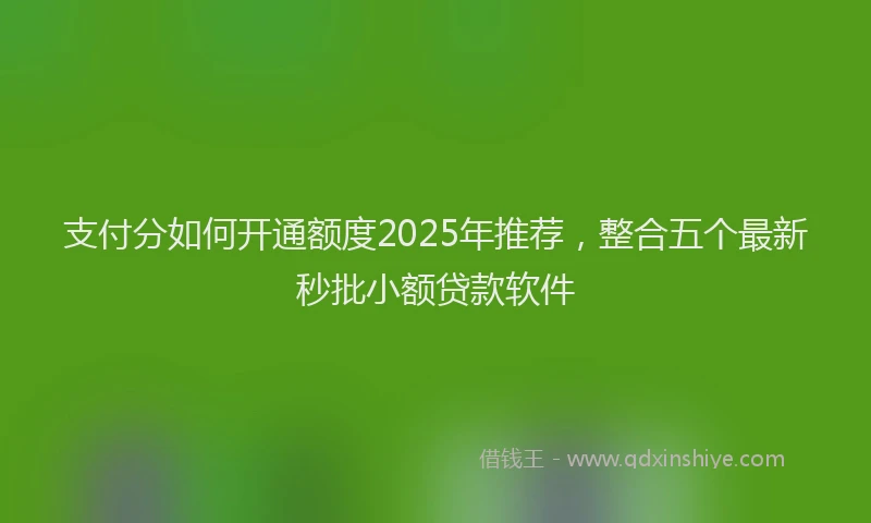 支付分如何开通额度2025年推荐，整合五个最新秒批小额贷款软件