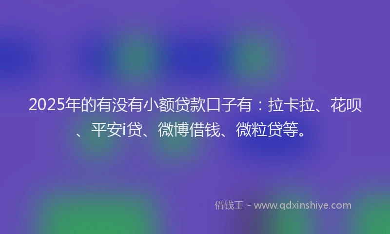 2025年的有没有小额贷款口子有：拉卡拉、花呗、平安i贷、微博借钱、微粒贷等。