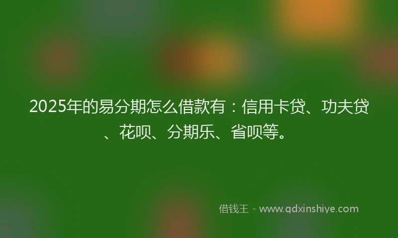 2025年的易分期怎么借款有：信用卡贷、功夫贷、花呗、分期乐、省呗等。