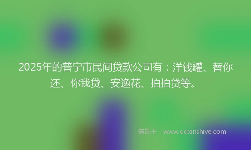 2025年的普宁市民间贷款公司有：洋钱罐、替你还、你我贷、安逸花、拍拍贷等。