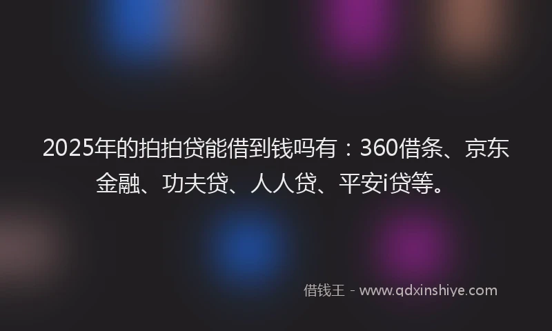 2025年的拍拍贷能借到钱吗有：360借条、京东金融、功夫贷、人人贷、平安i贷等。