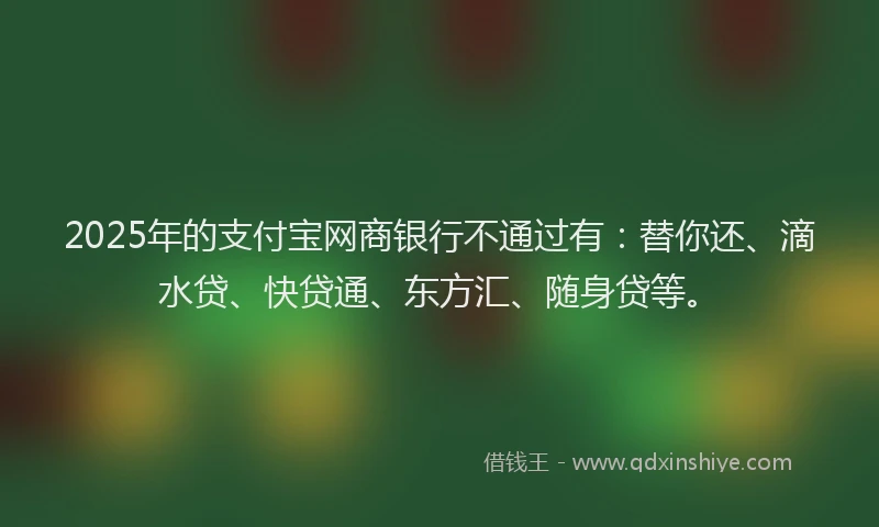 2025年的支付宝网商银行不通过有：替你还、滴水贷、快贷通、东方汇、随身贷等。
