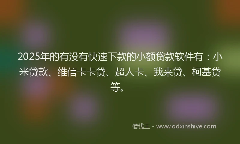 2025年的有没有快速下款的小额贷款软件有：小米贷款、维信卡卡贷、超人卡、我来贷、柯基贷等。