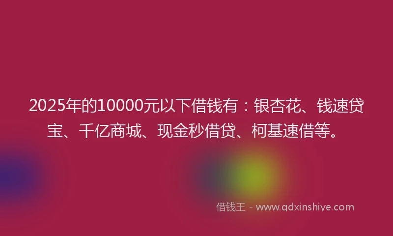 2025年的10000元以下借钱有：银杏花、钱速贷宝、千亿商城、现金秒借贷、柯基速借等。