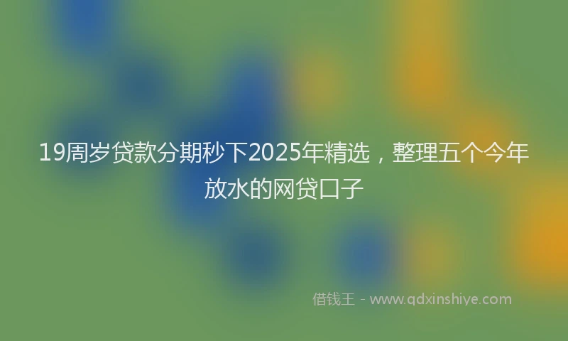 19周岁贷款分期秒下2025年精选，整理五个今年放水的网贷口子