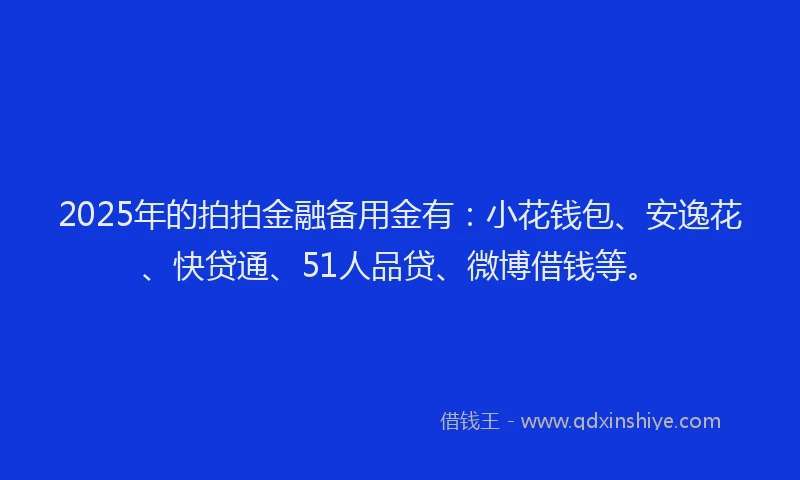2025年的拍拍金融备用金有：小花钱包、安逸花、快贷通、51人品贷、微博借钱等。