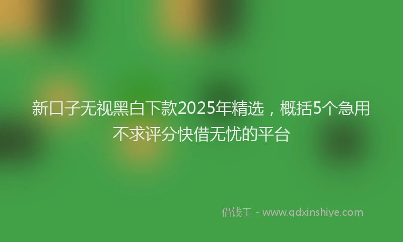 新口子无视黑白下款2025年精选，概括5个急用不求评分快借无忧的平台