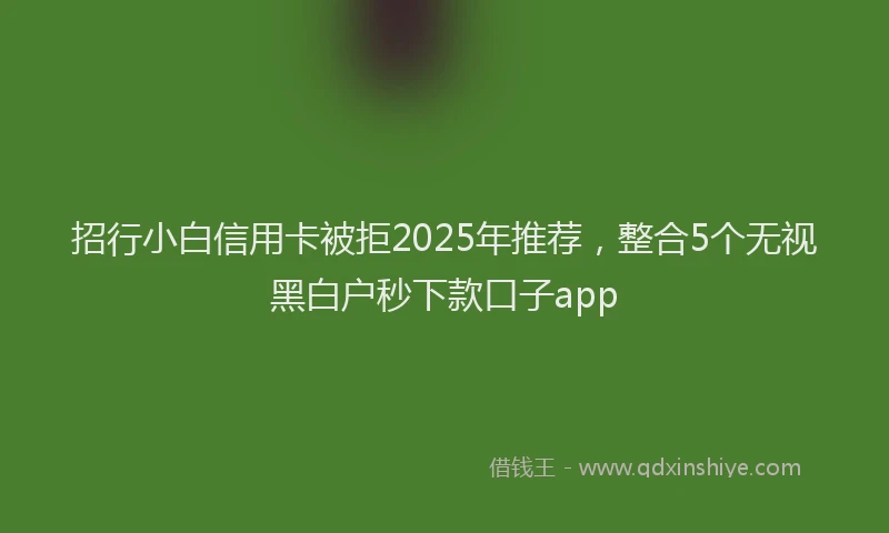 招行小白信用卡被拒2025年推荐，整合5个无视黑白户秒下款口子app