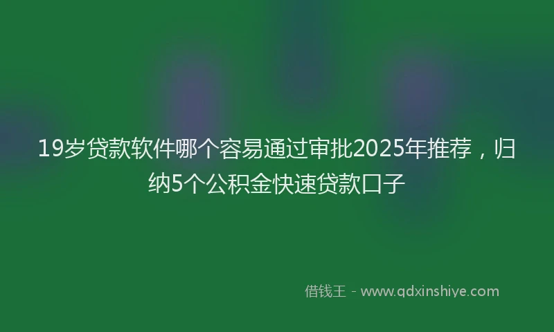 19岁贷款软件哪个容易通过审批2025年推荐，归纳5个公积金快速贷款口子