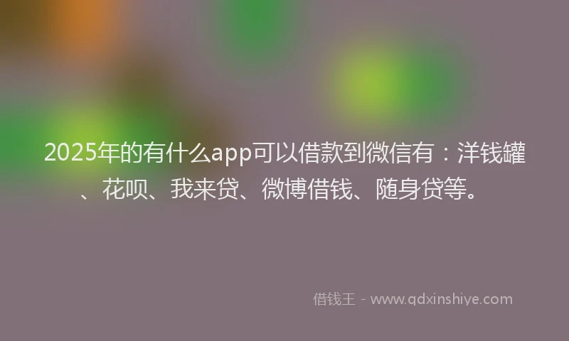 2025年的有什么app可以借款到微信有：洋钱罐、花呗、我来贷、微博借钱、随身贷等。