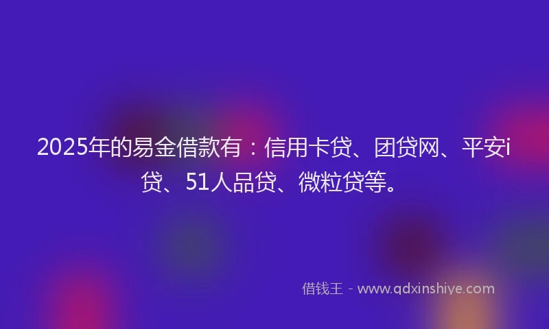 2025年的易金借款有：信用卡贷、团贷网、平安i贷、51人品贷、微粒贷等。
