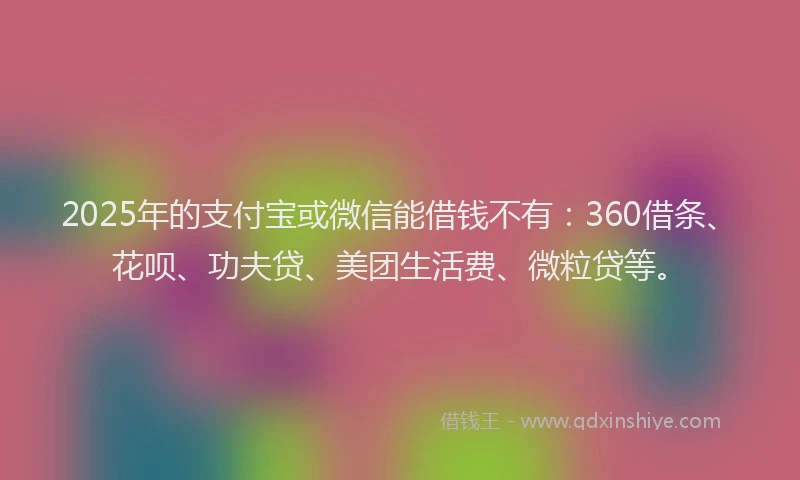 2025年的支付宝或微信能借钱不有：360借条、花呗、功夫贷、美团生活费、微粒贷等。
