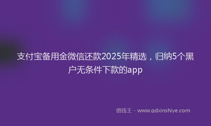 支付宝备用金微信还款2025年精选，归纳5个黑户无条件下款的app