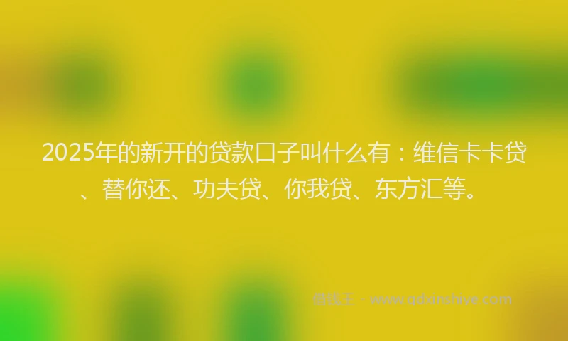 2025年的新开的贷款口子叫什么有：维信卡卡贷、替你还、功夫贷、你我贷、东方汇等。