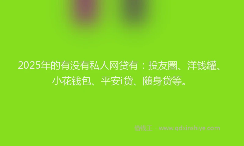2025年的有没有私人网贷有：投友圈、洋钱罐、小花钱包、平安i贷、随身贷等。