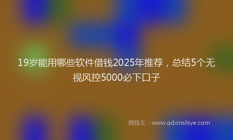 19岁能用哪些软件借钱2025年推荐，总结5个无视风控5000必下口子