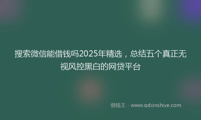 搜索微信能借钱吗2025年精选，总结五个真正无视风控黑白的网贷平台