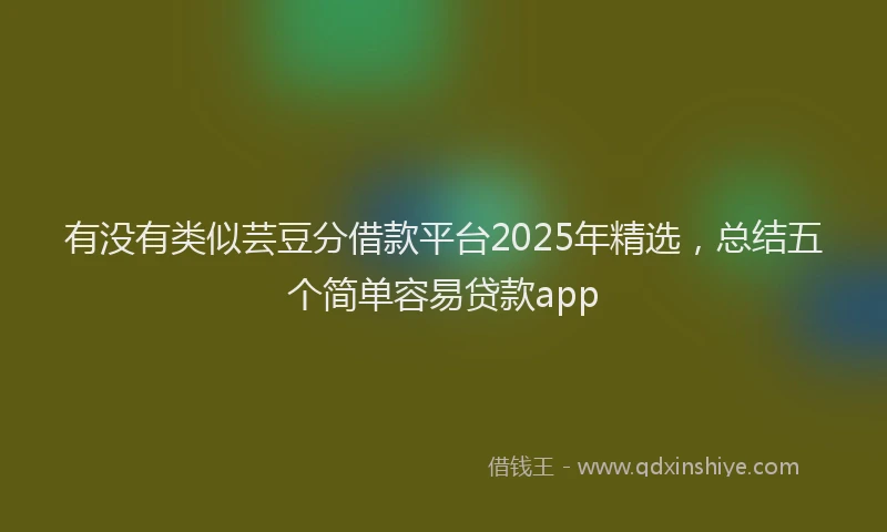 有没有类似芸豆分借款平台2025年精选，总结五个简单容易贷款app