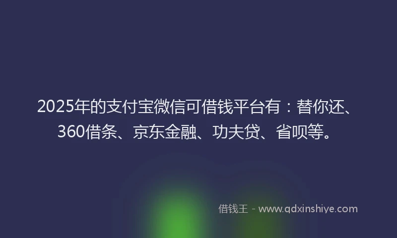 2025年的支付宝微信可借钱平台有：替你还、360借条、京东金融、功夫贷、省呗等。